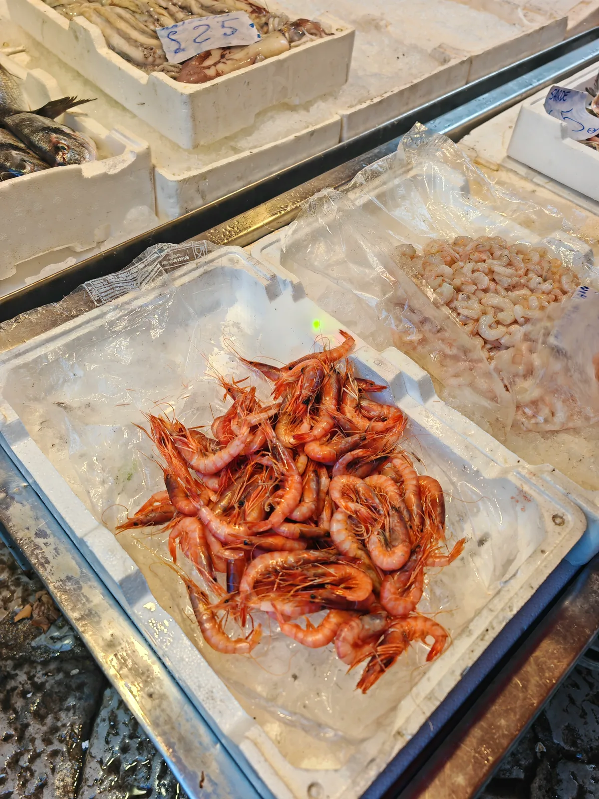 What to See in Palermo in One Day: A Walking Itinerary Through the Old Town 7 Fresh red prawns at the fish market in Palermo